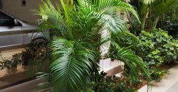 VILLA R+2 EN VENTE A LOME ADIDOGOME AMADAHOME